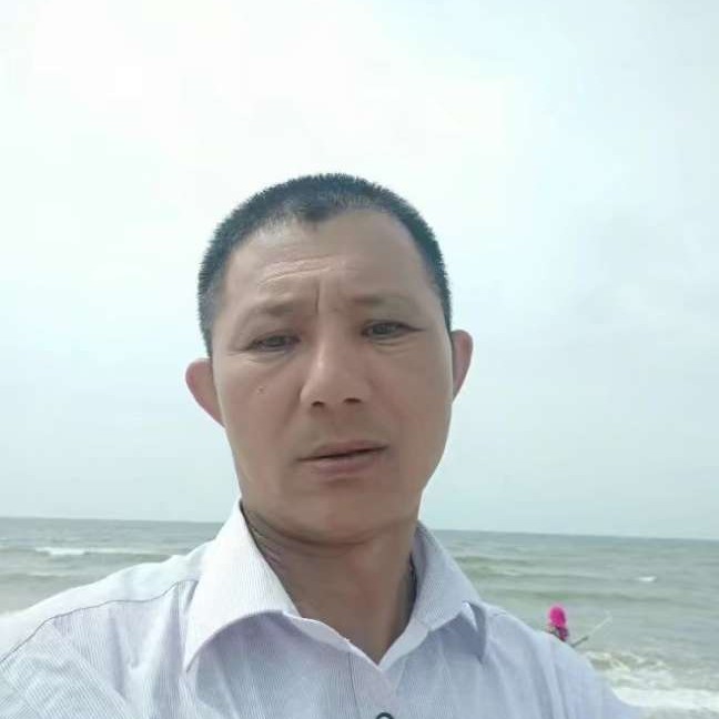 蜜蜂請踏实的照片