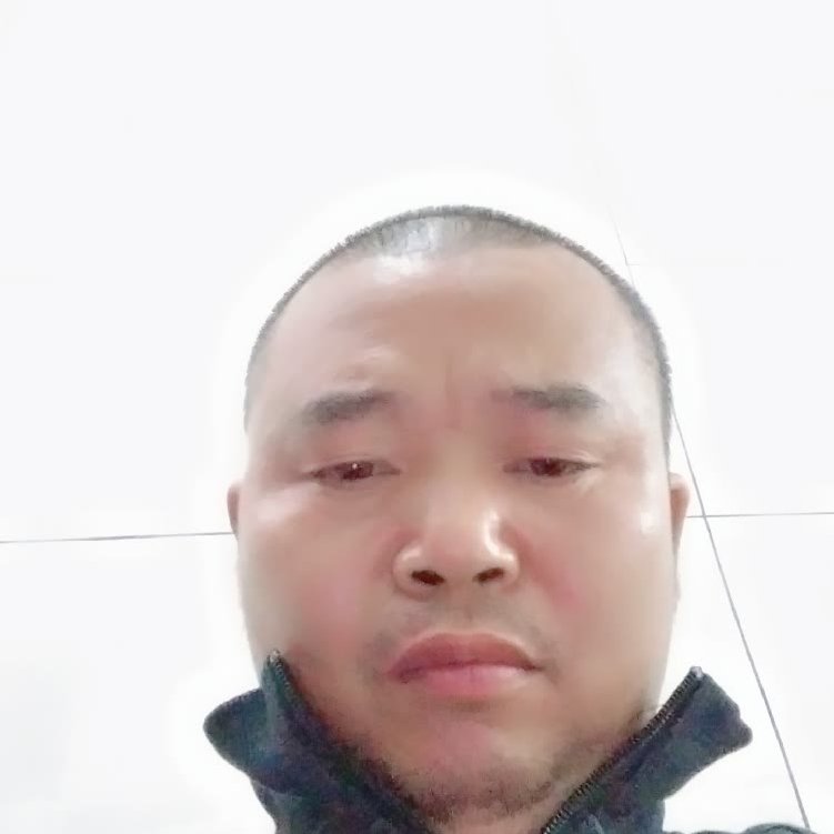 无聊的一休的照片