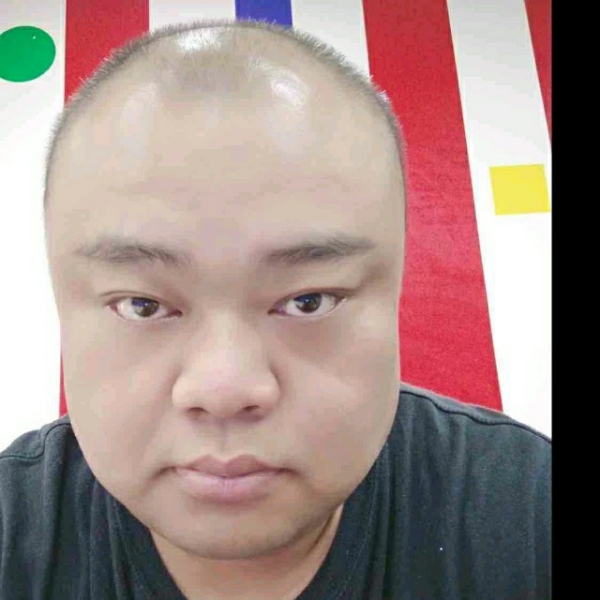 鸡就风中的照片