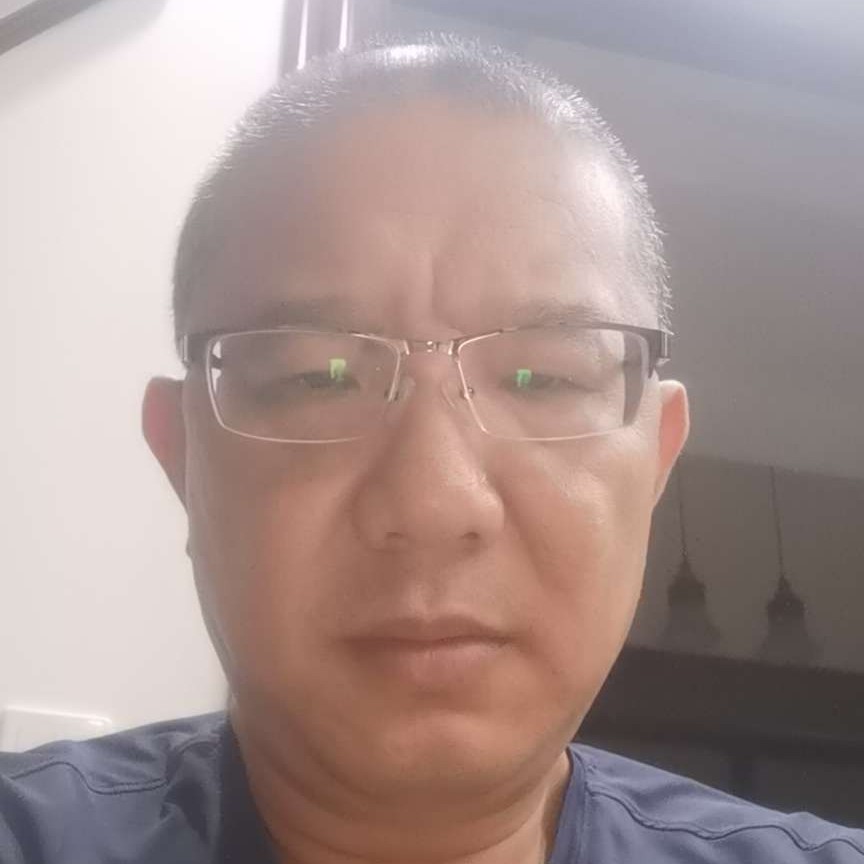 翅膀回眸淡定的照片