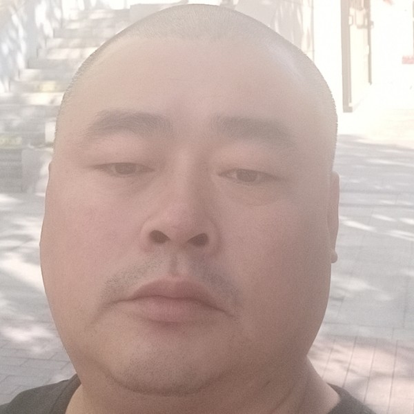 鼠标浅吻从容的照片