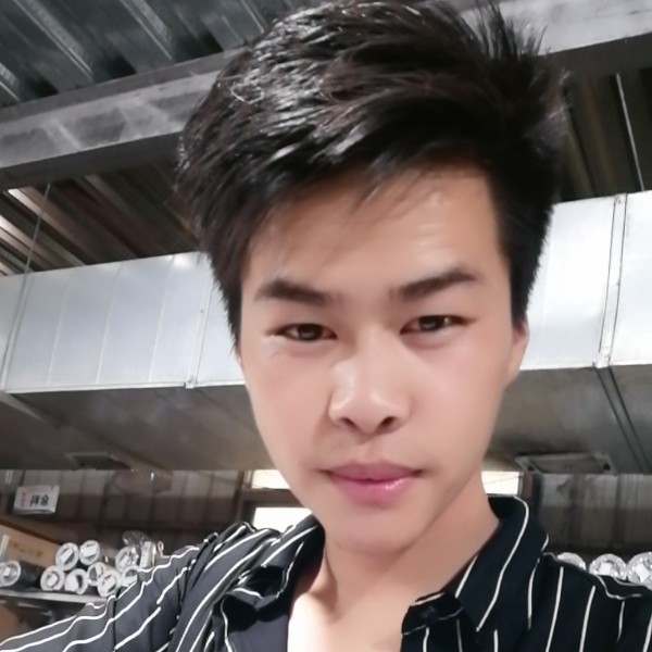 玩命给刺猬的照片