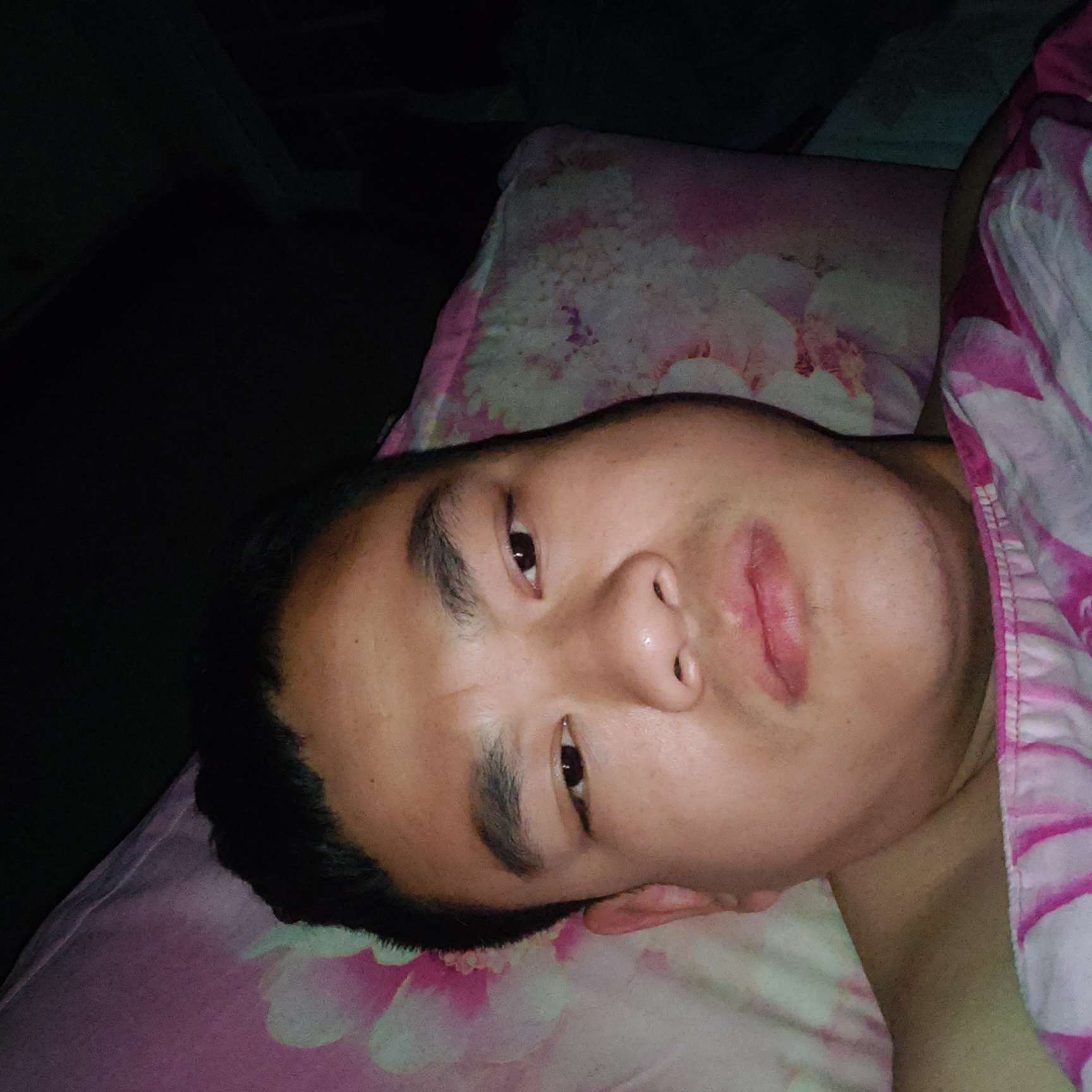 小鸽子迎留胡子的照片