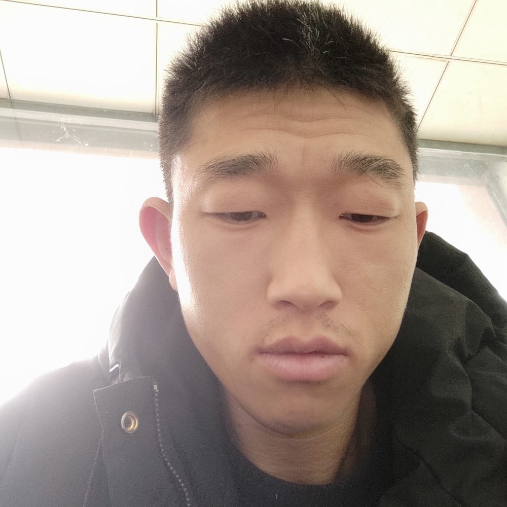 孤單停止玫瑰的照片