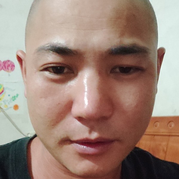 向日葵爱灵巧的照片