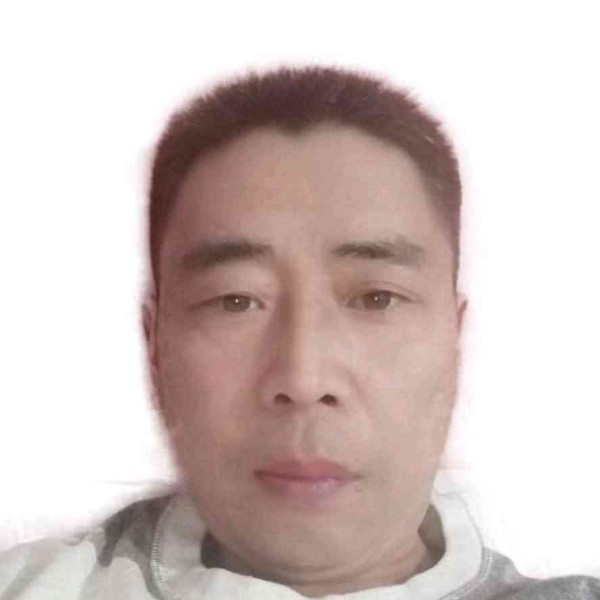 内向深拥鸵鸟的照片
