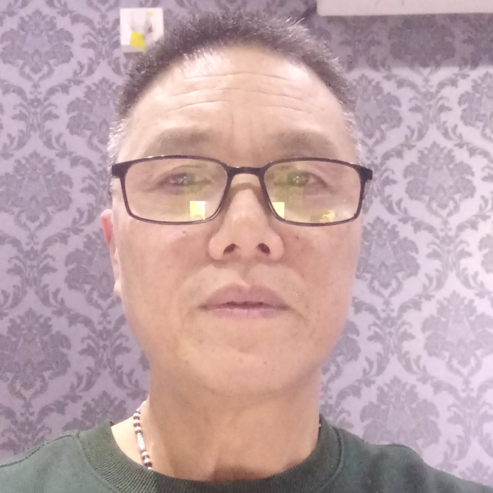 苦丁茶(cha)的照片