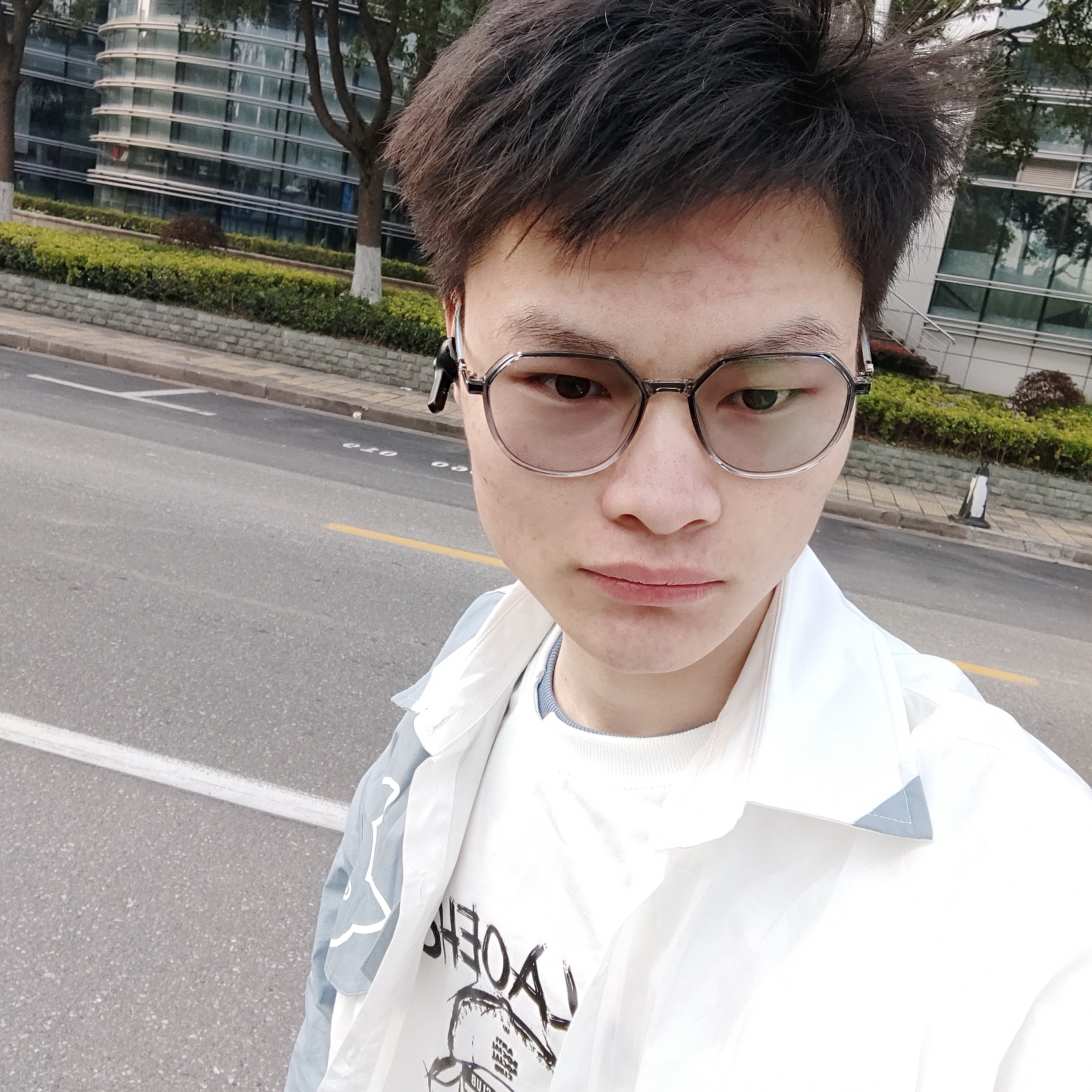 小海豚踢呆萌的照片