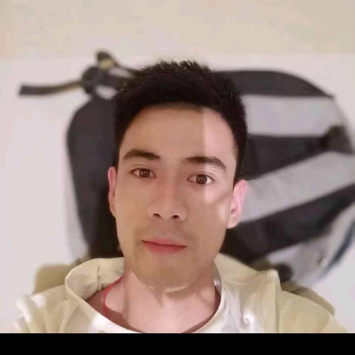 迅速演变白猫的照片