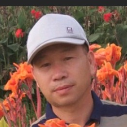 惊鸿漫步后来的照片