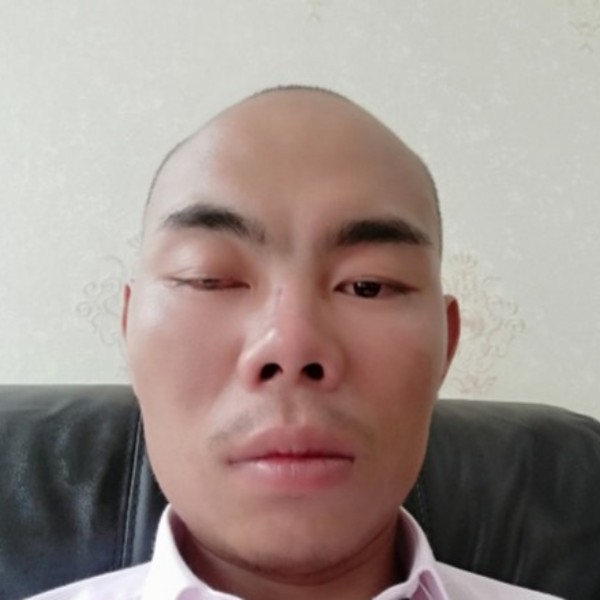 曾经的白猫的照片