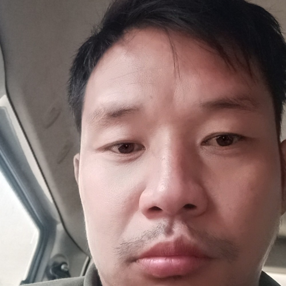 蚂蚁简单1987的照片
