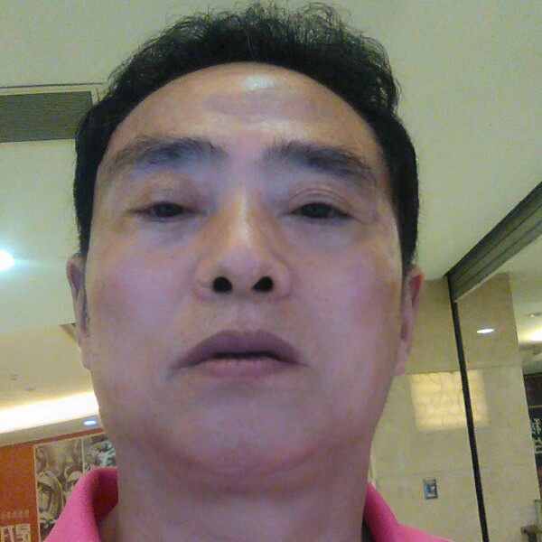 唯一的红玫瑰的照片