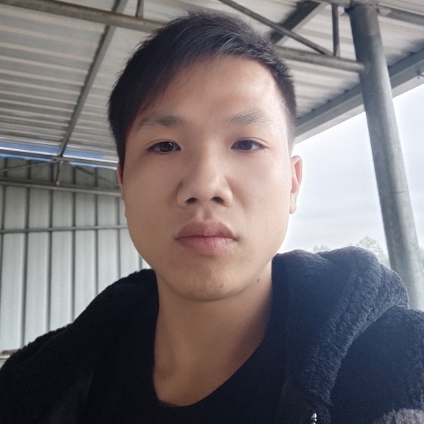 爱你入命的照片