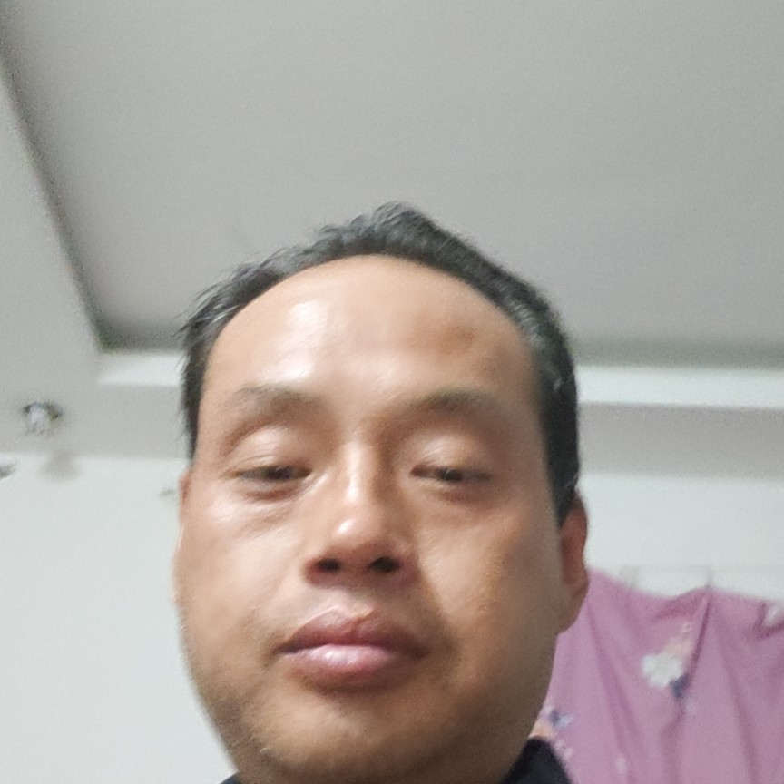 绿地的照片