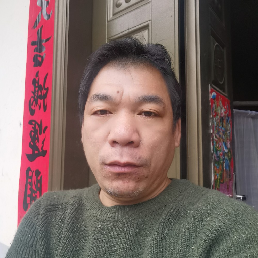 红旗东方巨龙轿车的照片