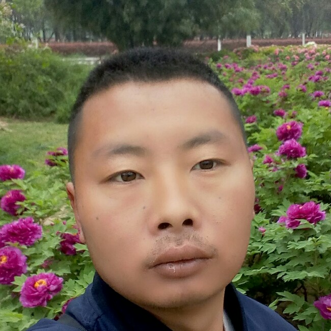 蓝天安静的照片