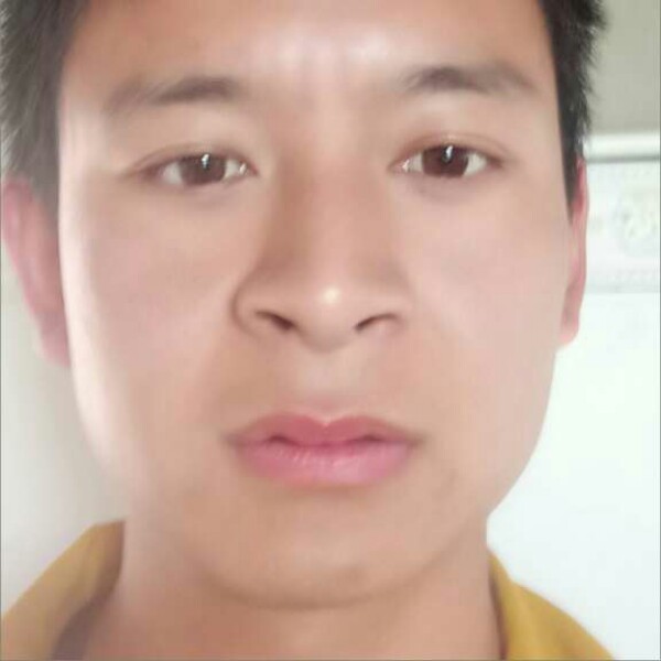 雨化成龙的照片