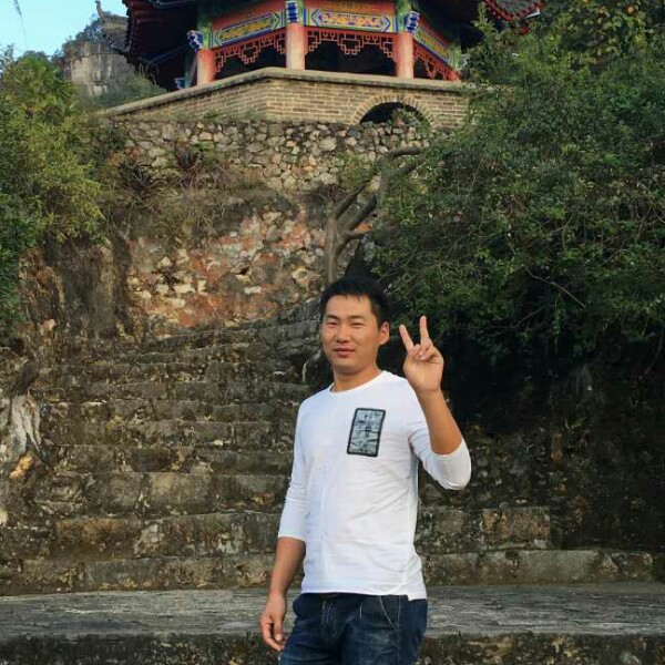 蝶舞淡然的照片