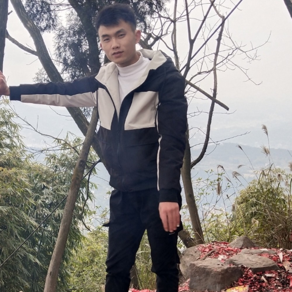 孤独相伴的照片