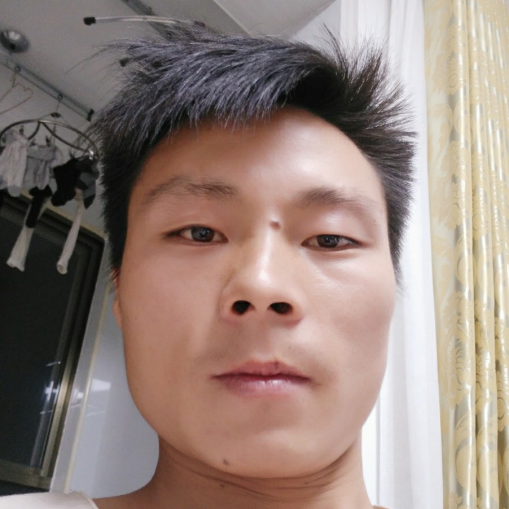 长情绿草的照片