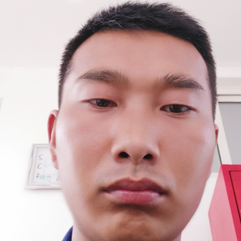 幻灭愿红玫瑰的照片