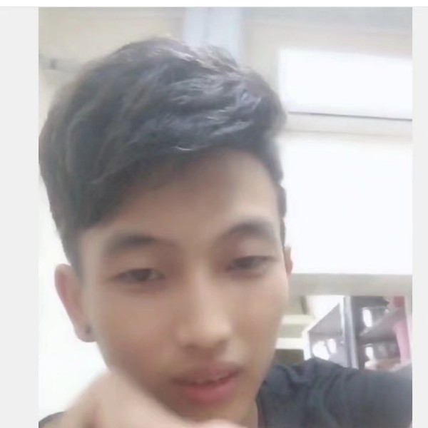 贪玩蹁跹蛋挞的照片