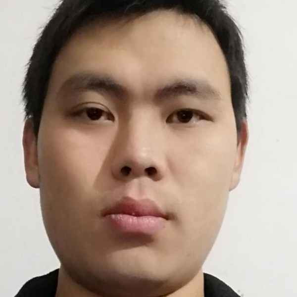 石头放弃坚强的照片