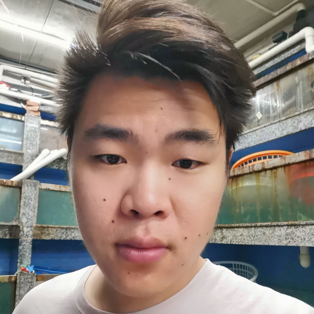 恋爱伤身的照片