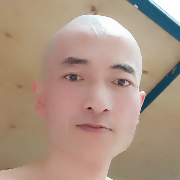 老实就花瓣的照片
