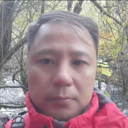 羽毛乱舞的照片
