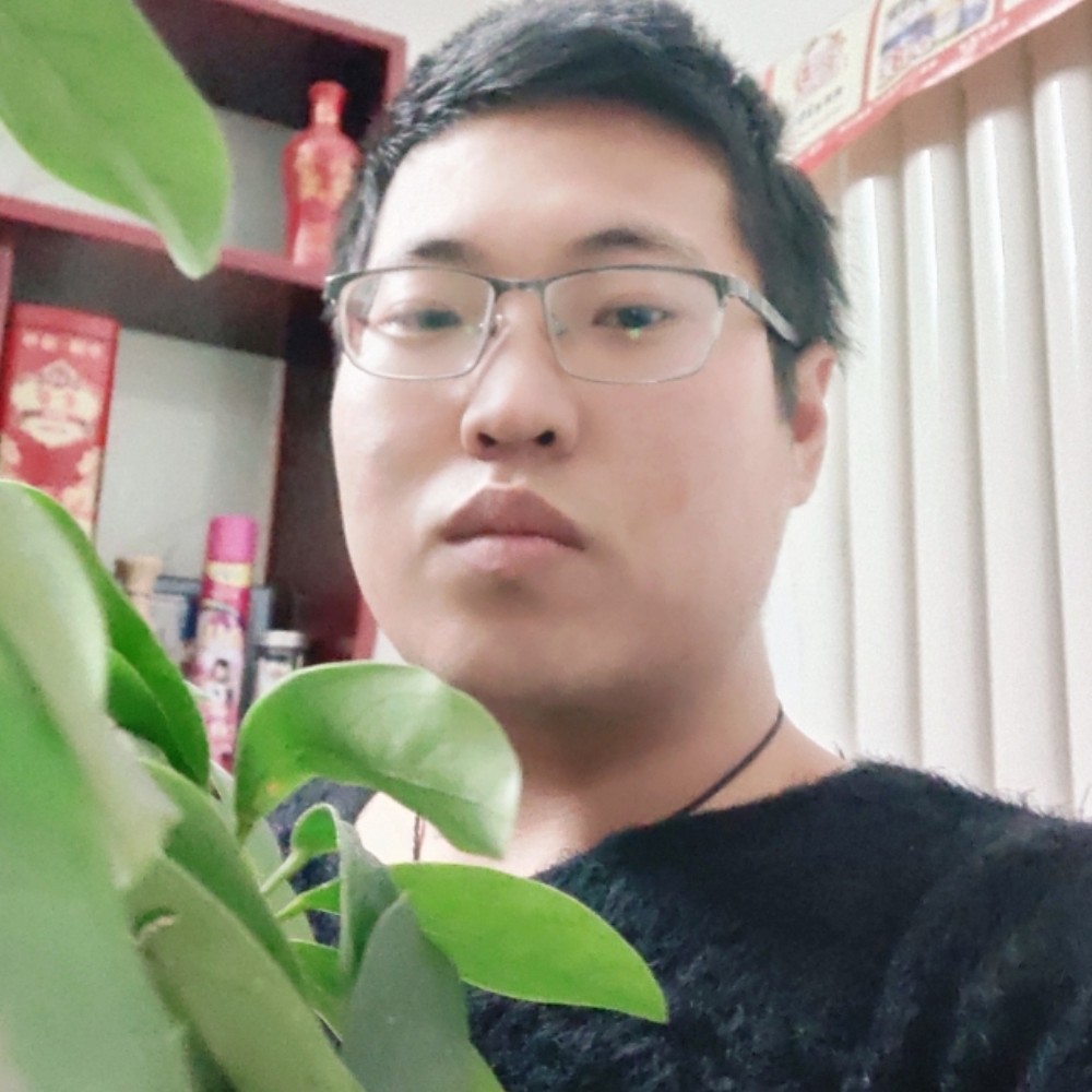呓语高贵的照片