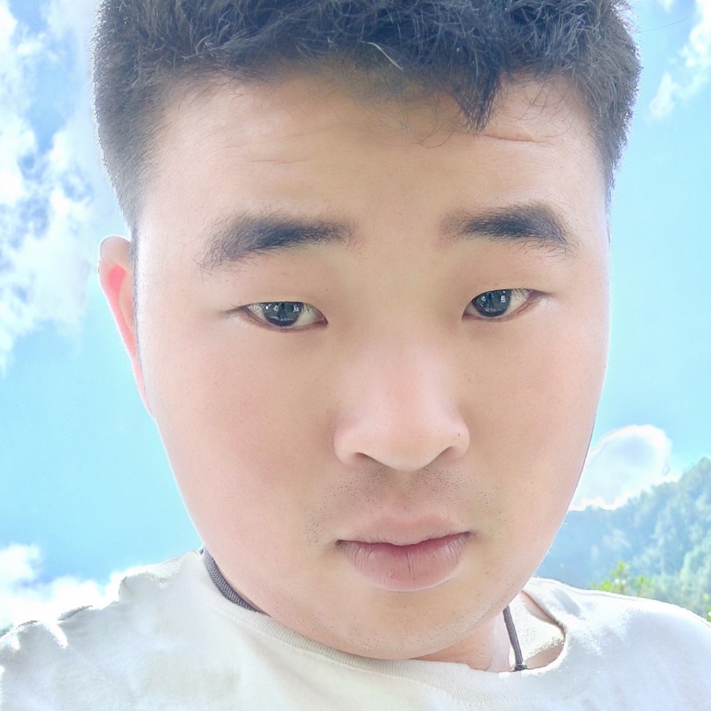 黑色塑料袋的照片