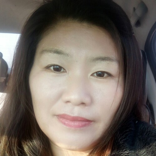橄榄树上的橄榄的照片