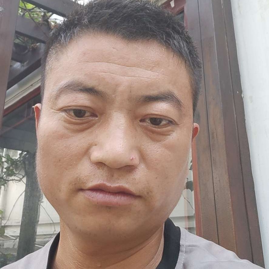 难过漫步狗的照片