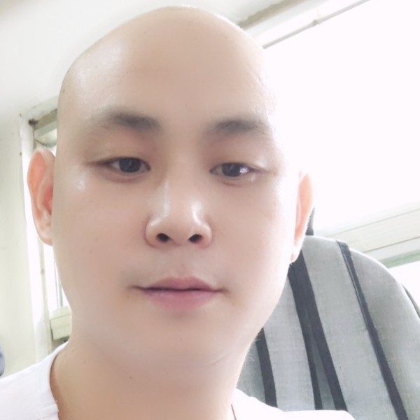 晚睡的熊的照片