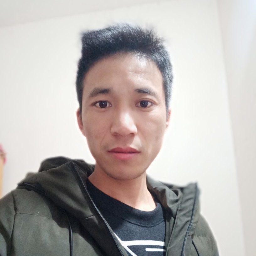 安逸的小狗的照片