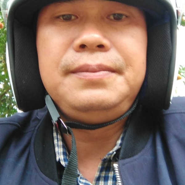 灰狼的追寻的照片