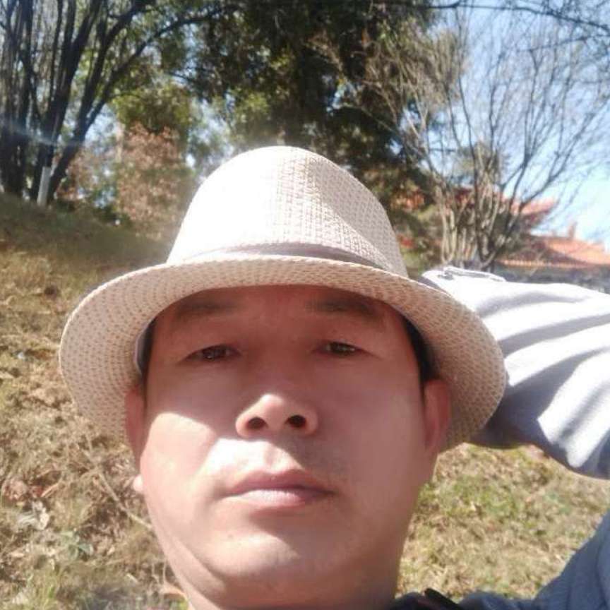 森林里的鱼的照片