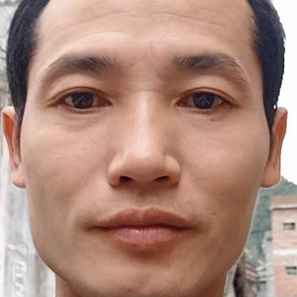 朋鸟禾呈万里的照片