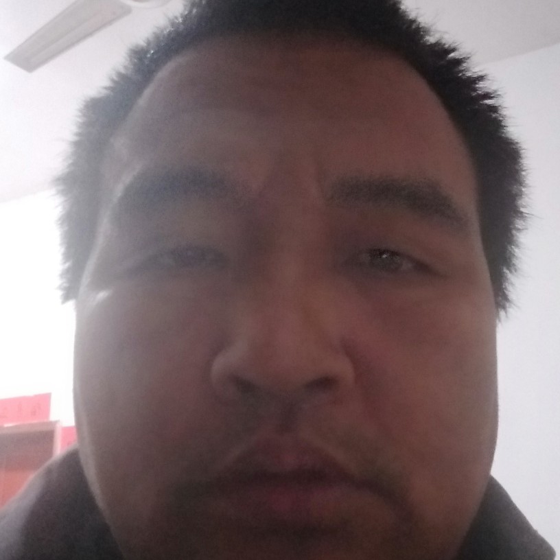 红牛漫步漂亮的照片