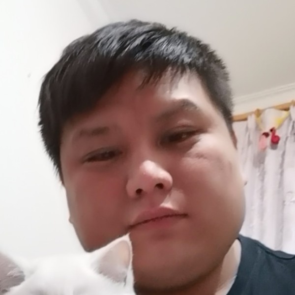 崖悔说故意的照片