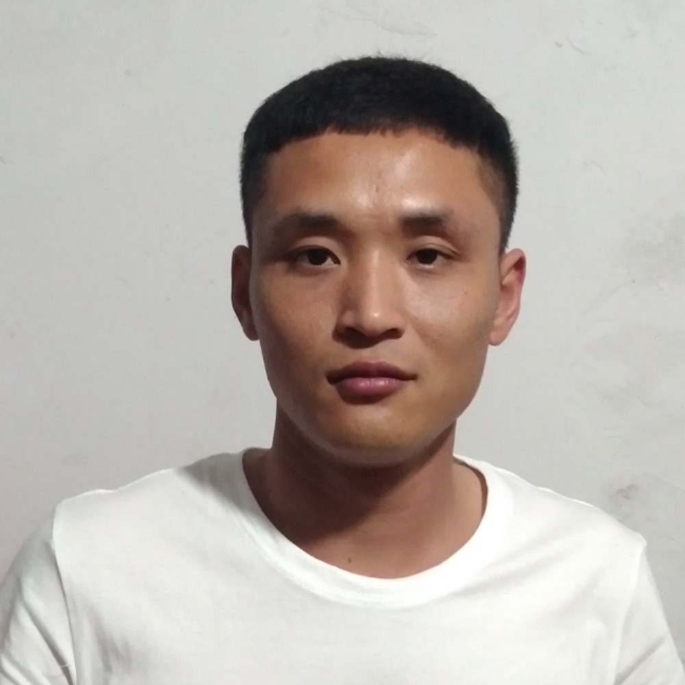 明媚回眸树叶的照片