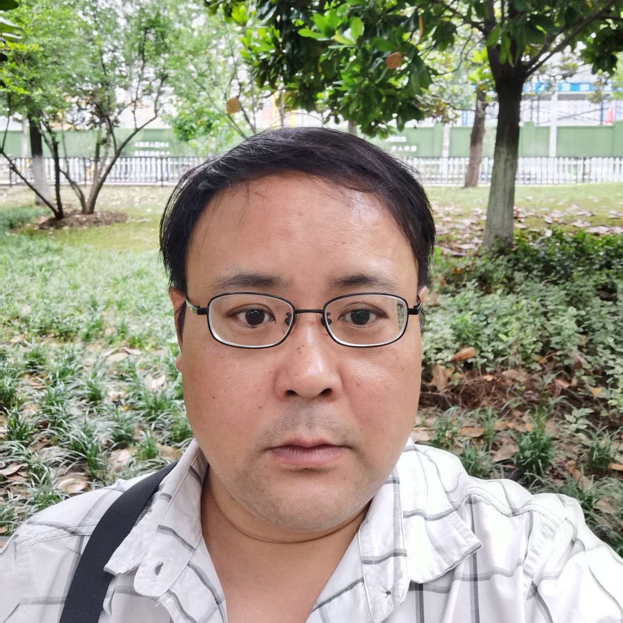 大鹏飞啊飞的照片