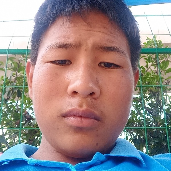 奇异果等于要减肥的照片