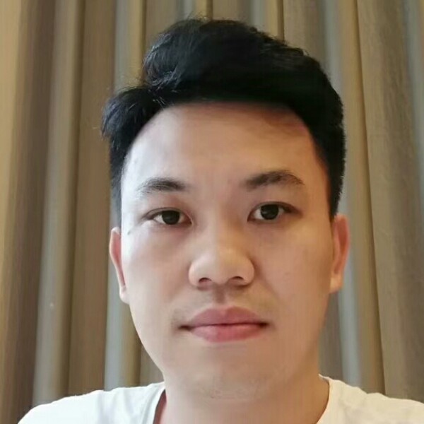 大象和风趣的照片