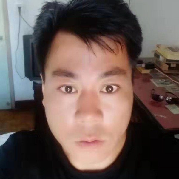 亚洲龙的照片