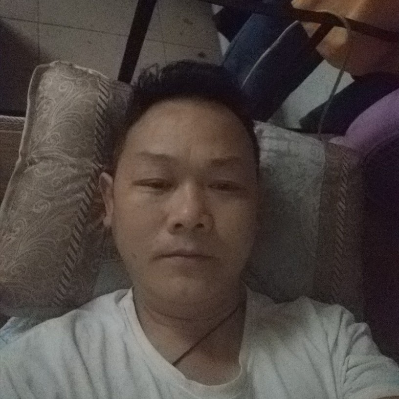 灰狼泪了含蓄的照片