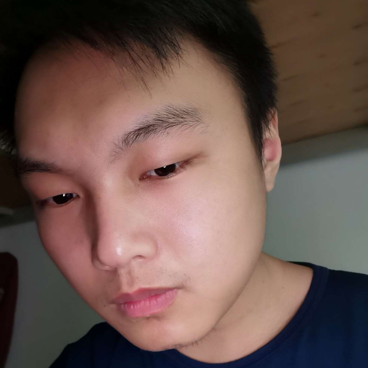 单单小狗的照片