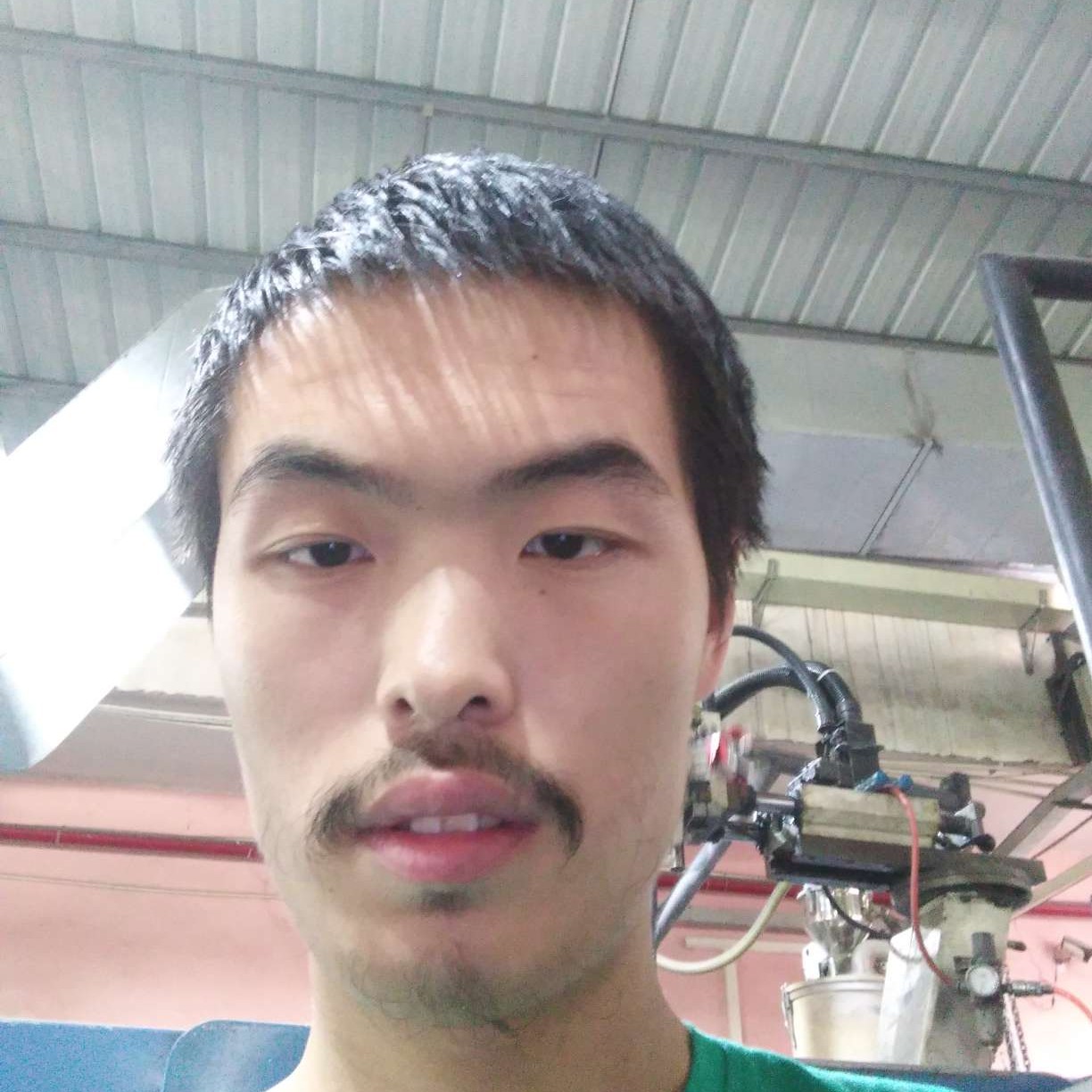 紫菜等于约定的照片